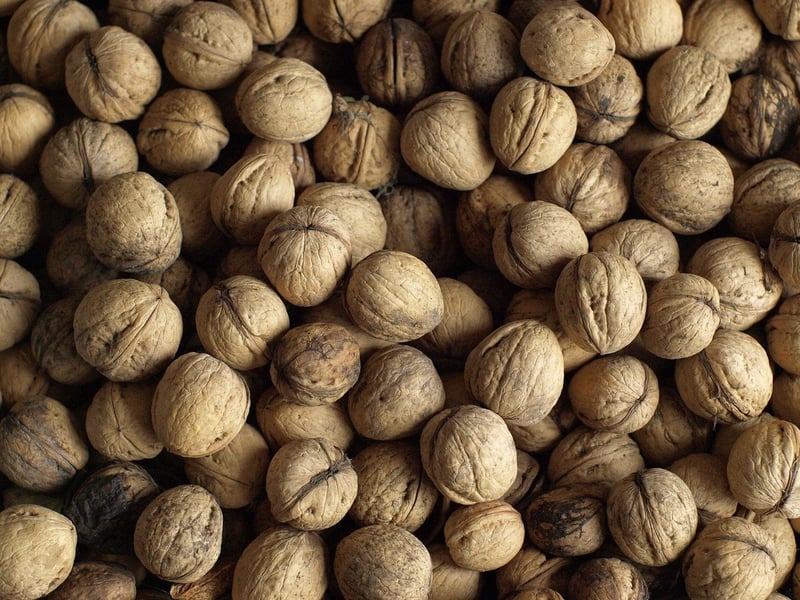 Nutrient Deficiency